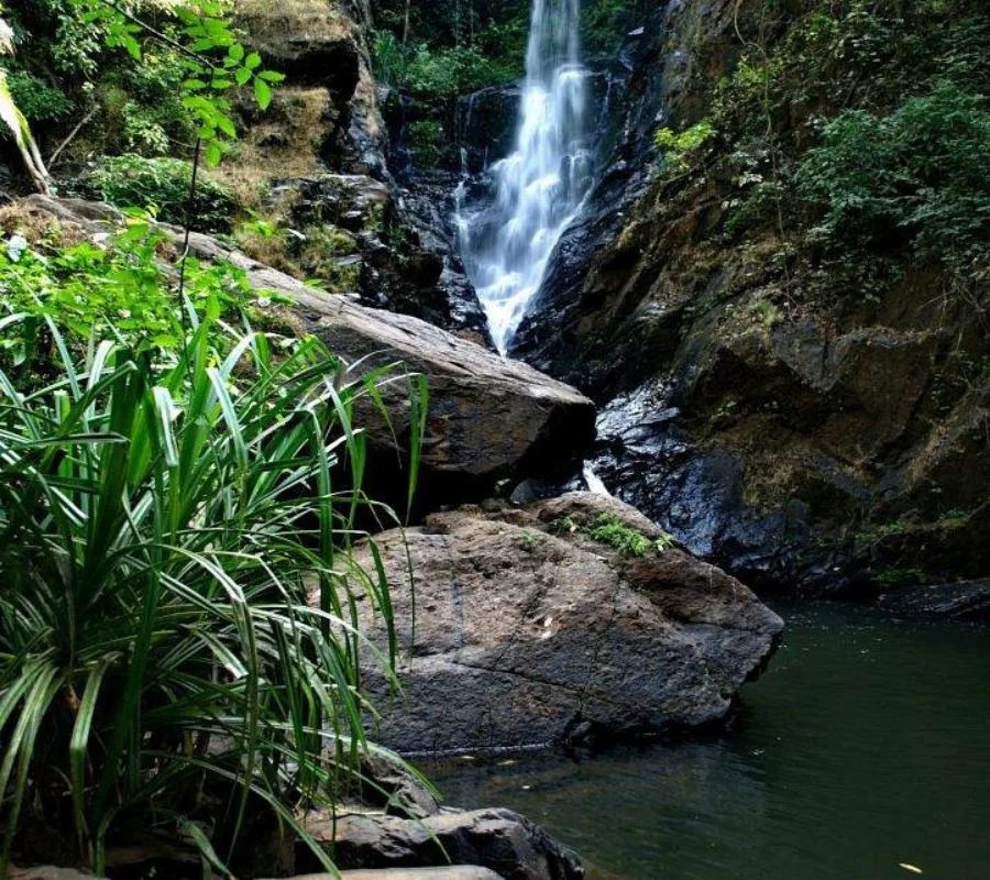 Best taxi service in Margao,Goa